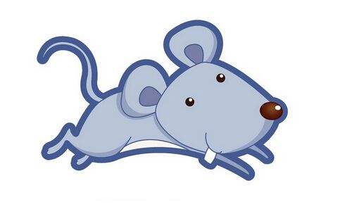 属鼠一生命运如何