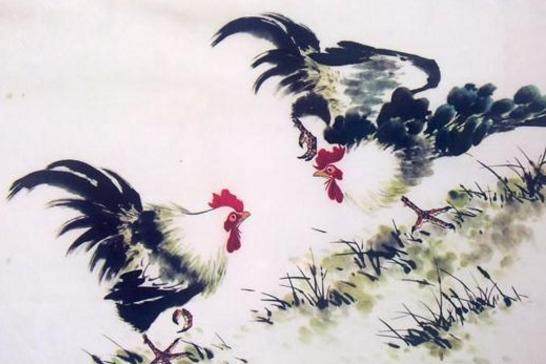 属鸡的一生贵人 什么生肖永远旺鸡