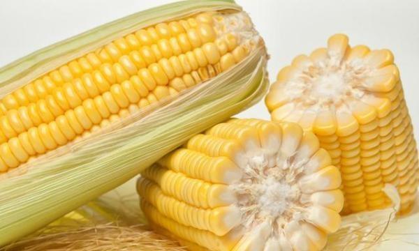 晚上吃什么不会胖又饱腹