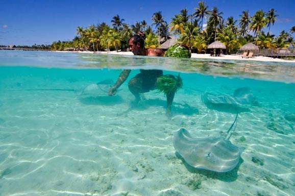 度蜜月巴厘岛景点 巴厘岛美食攻略