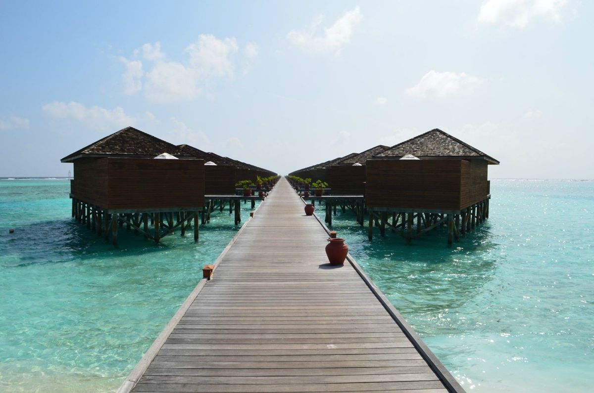 高端主题婚礼策划方案