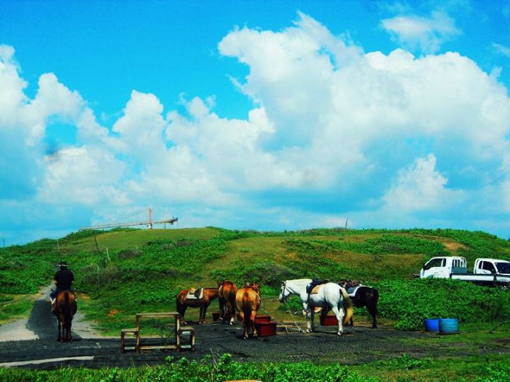 去台北度蜜月需要办理什么手续 出国旅行注意哪些事情
