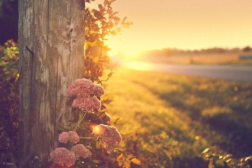 关于早晨的励志句子