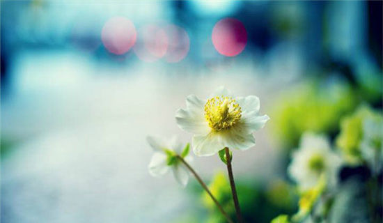 描写清晨的优美句子