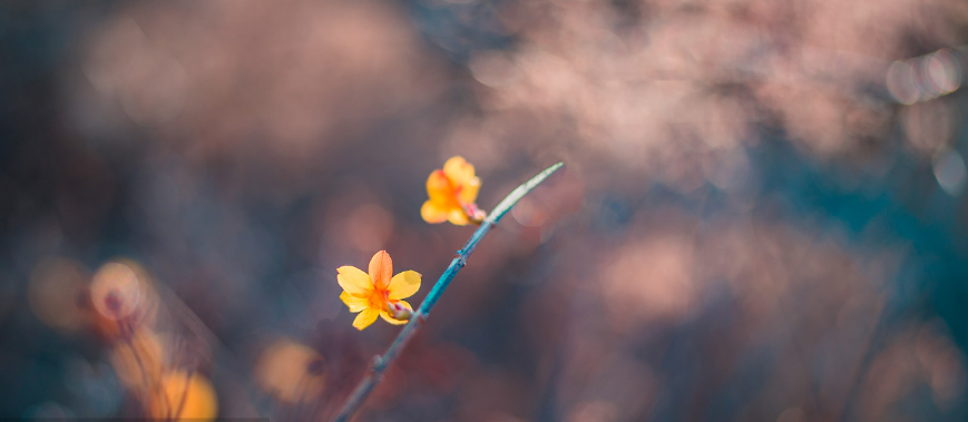 离婚官司律师费用 离婚官司律师费用一般多少