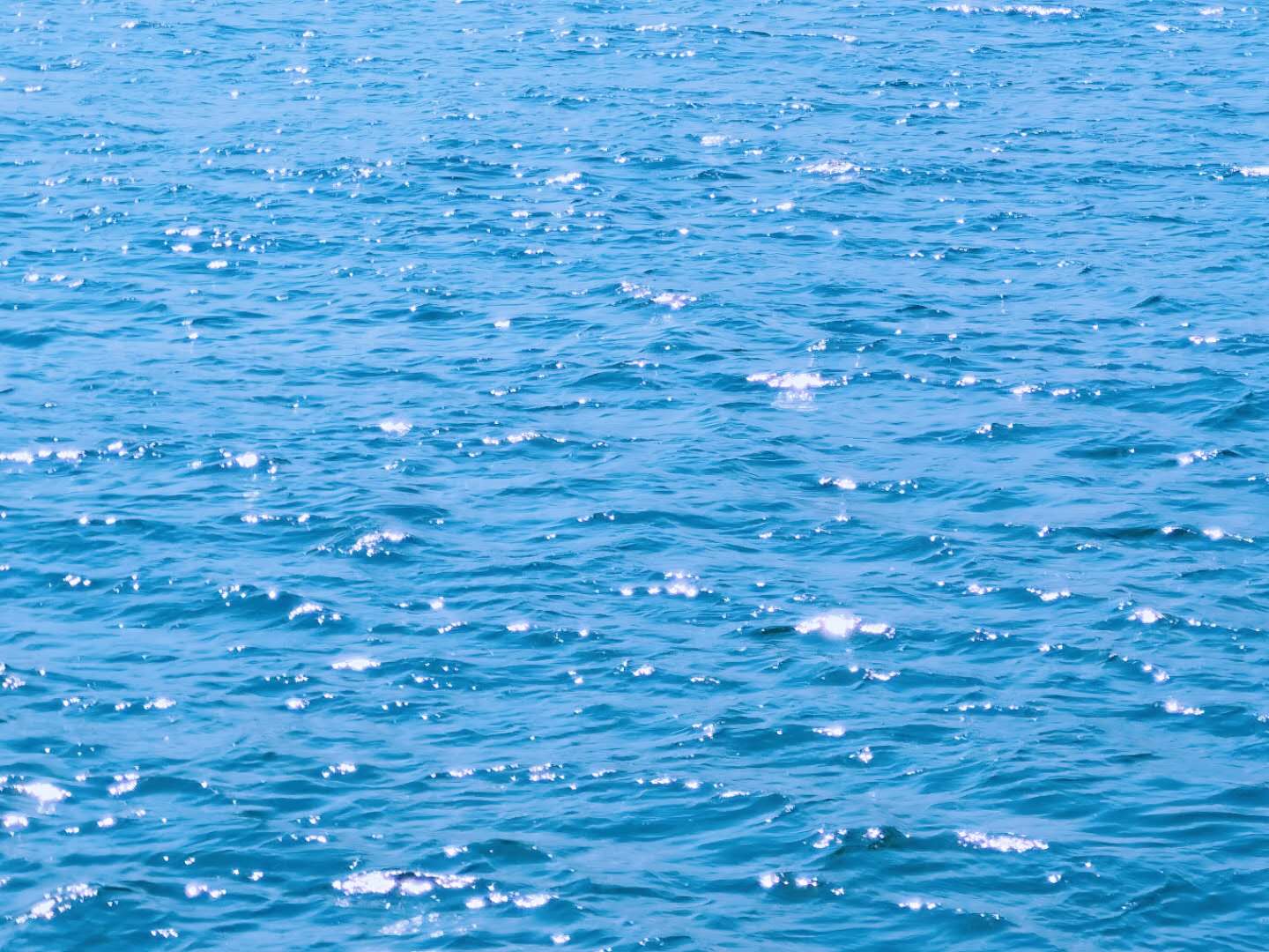 毕业哭到爆的句子 抖音最火毕业话语