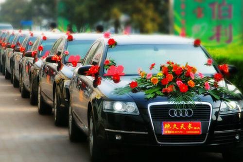 新乡市婚车租赁价格,新乡市婚车车队价格