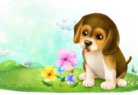 智商最强大脑的生肖