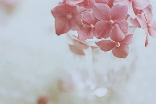 七夕祝福语送老公 