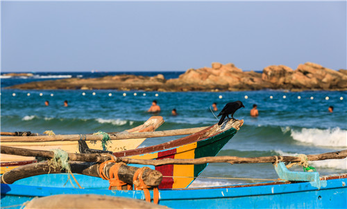 　　国内适合度蜜月的地方