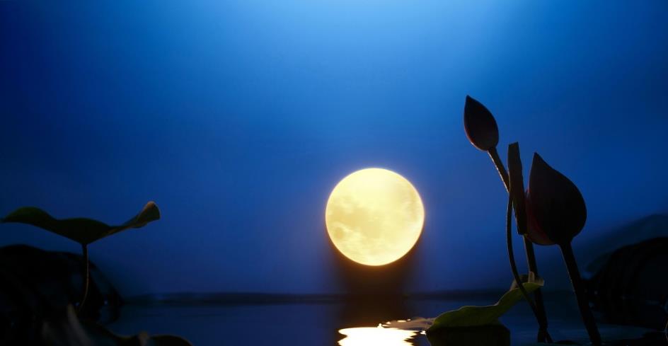 2020年八月十五结婚好吗 2020年十月一日结婚好吗