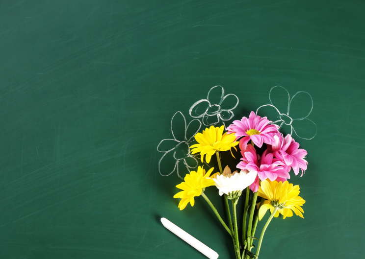 感恩老师暖心一段话 感恩老师的话语 暖心一段话