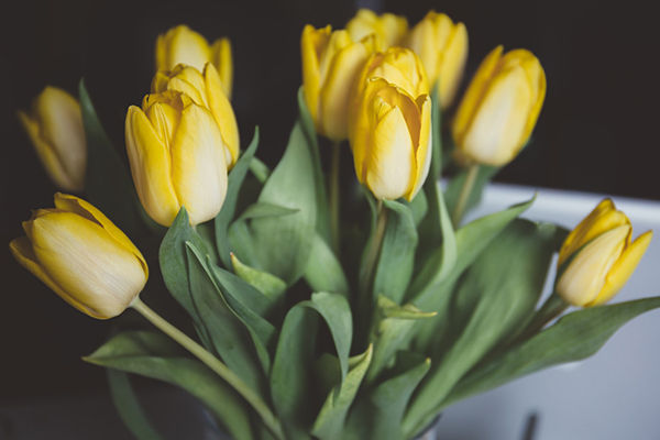 老师结婚学生应该送什么花