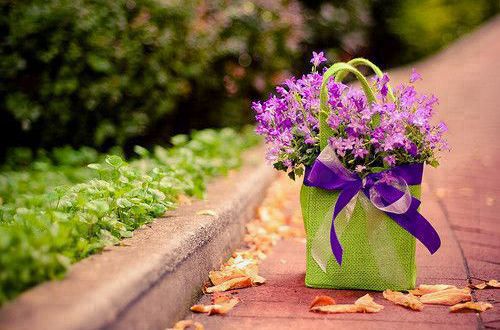 撩人套路情话给男朋友 怎么和男朋友说晚安