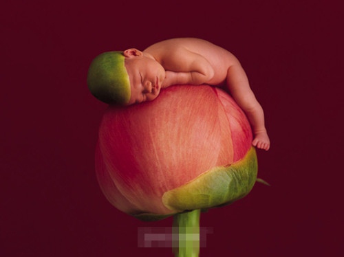 宝宝两周岁生日感言