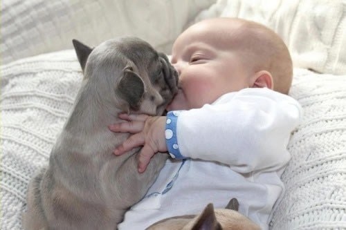 宝贝生日快乐的说说