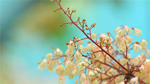 让女生喜欢上你的句子