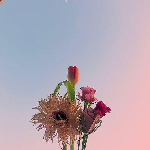 感谢老师最朴实的句子