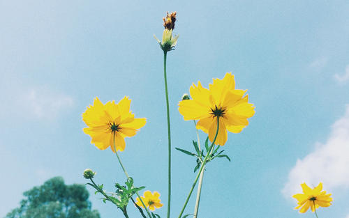 中秋节收到老公转账怎么写朋友圈