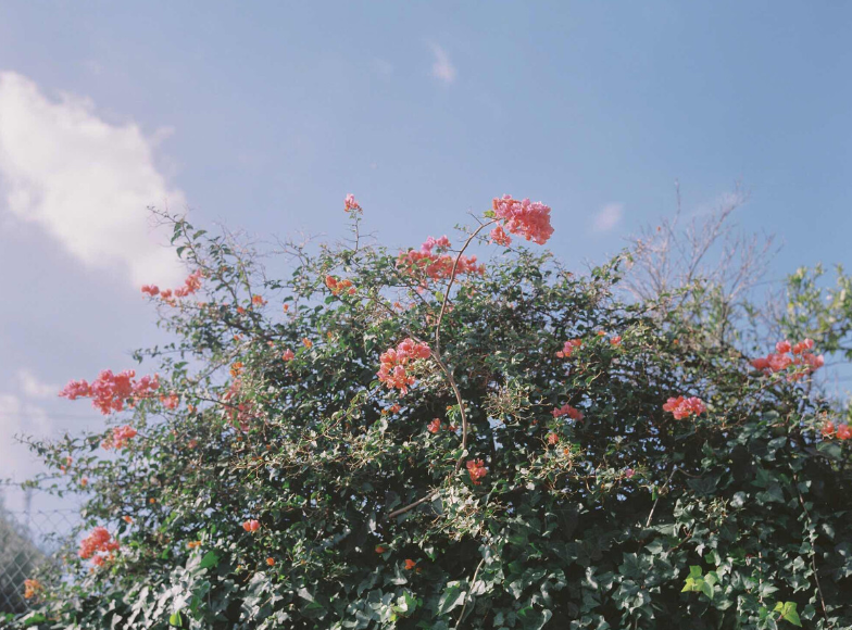 十一火车票什么时候开售 十一火车票开售日期2020