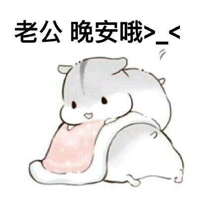 打动情人充满爱意的晚安短信