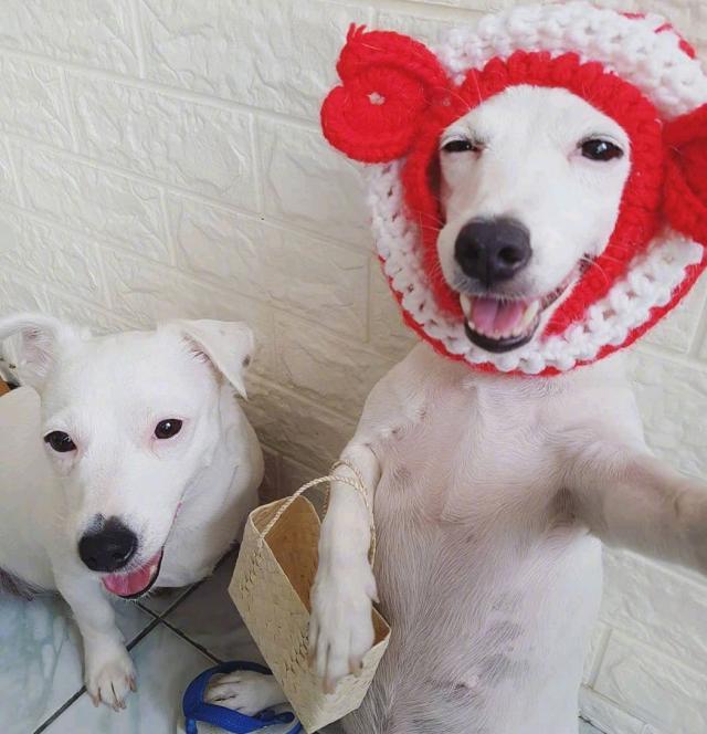 哄女朋友开心的笑话