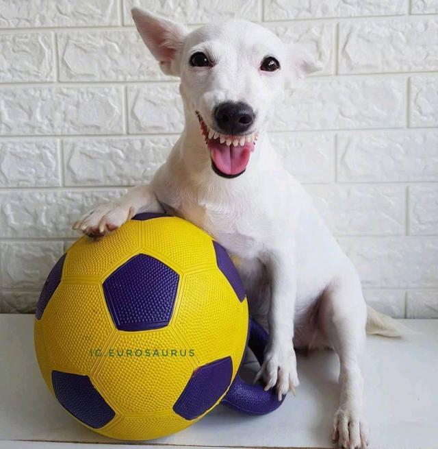 很酷的撩人情话短句