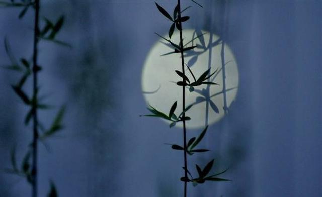 夜深人静看月亮的说说