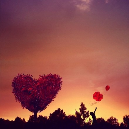 祝福结婚唯美句子简短