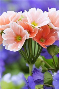 给老公教师节贺卡祝福语大全