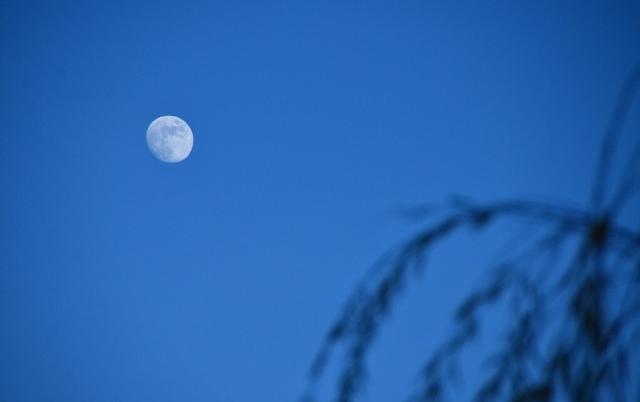 特别温柔的句子