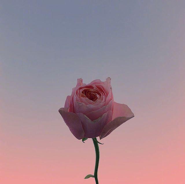 中秋节送什么礼品好