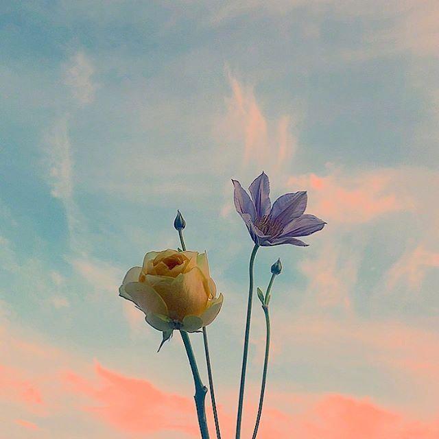 中秋节送礼送什么好长辈