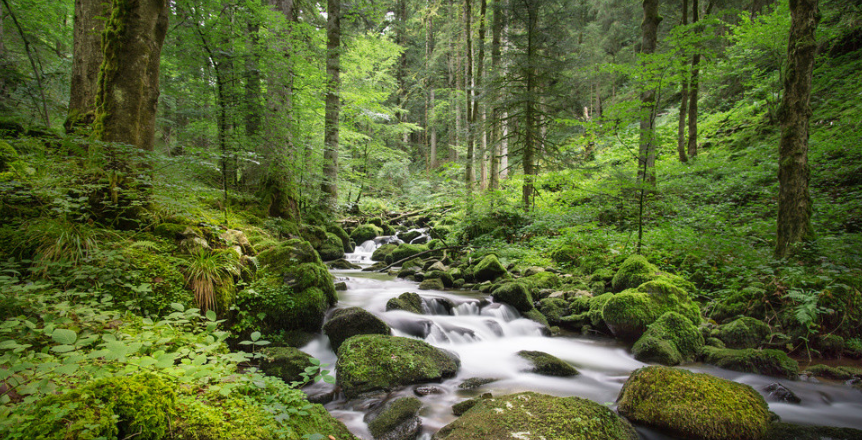 特别的祝福语国庆 最特别的国庆祝福语