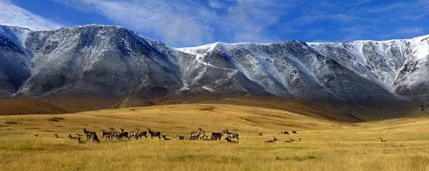 妻管严幽默句子 男人怕老婆的幽默句子