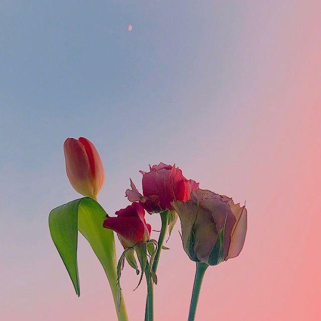 中秋国庆双节活动主题标语