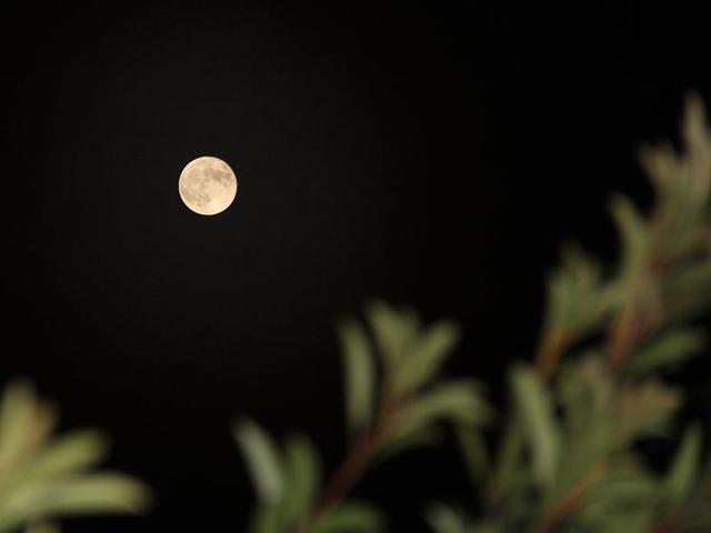 中秋节古诗祝福语简短