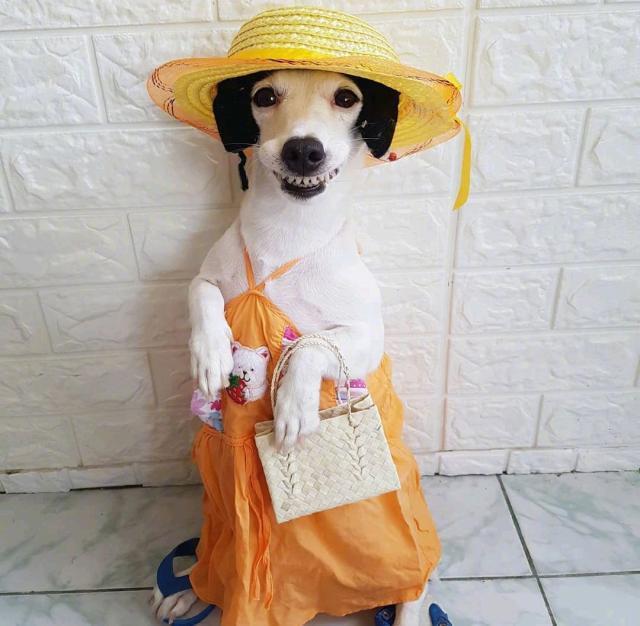 被催婚了怎么发朋友圈搞笑