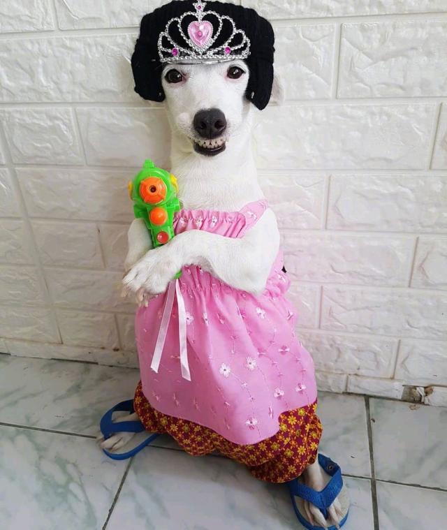 如何评论秀恩爱的朋友圈 怎样评论秀恩爱的朋友圈