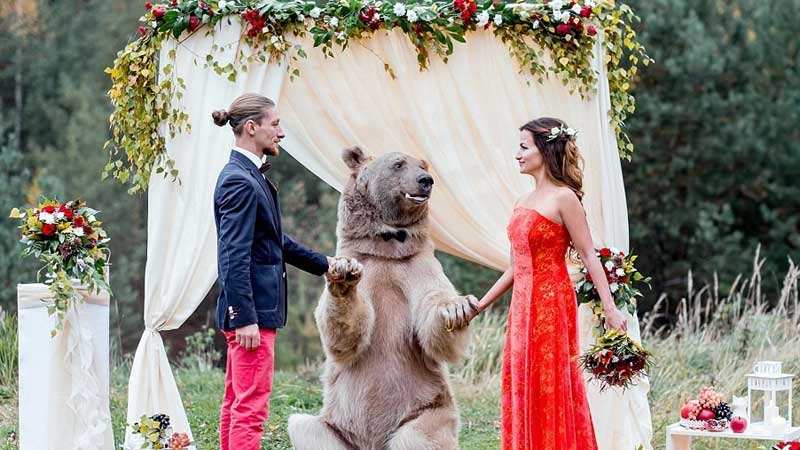 合适结婚的歌曲