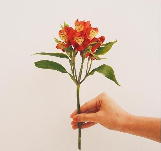 简短新婚祝福语八个字 祝福新人结婚的八个字