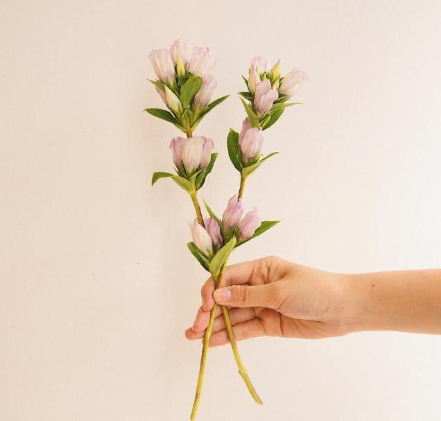 简短新婚祝福语八个字