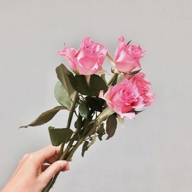 祝姐姐新婚快乐的句子 祝姐姐新婚快乐的句子简短