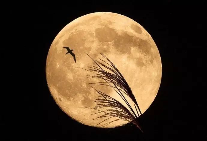 和老公旅行结束的心情发朋友圈