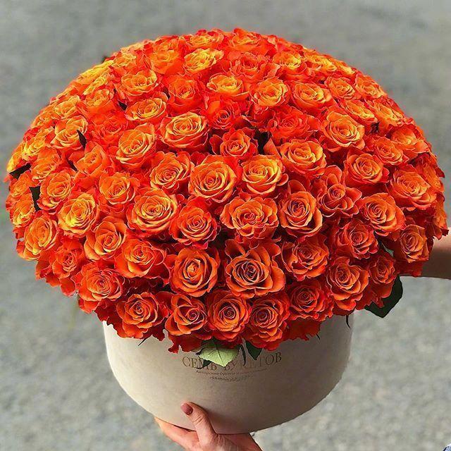 祝福祖国的话简短祝福语