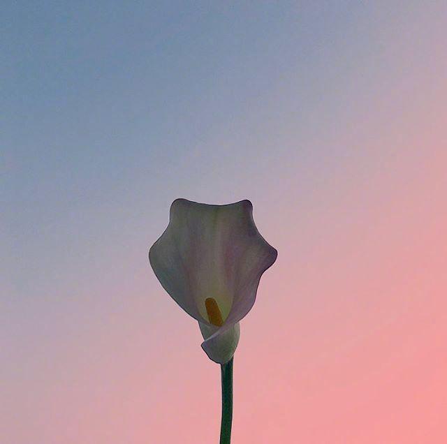 热爱祖国正能量的句子 热爱祖国的简短优美句子