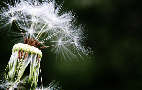 形容祖国强大霸气的句子