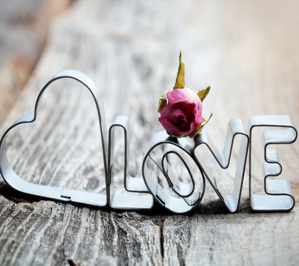 发表白墙帮室友找对象的话