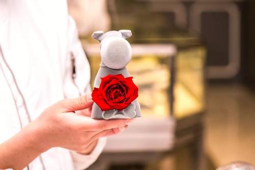 三十而立代表性礼物