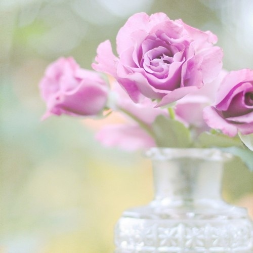 女生刚开始谈恋爱技巧 女生谈恋爱的技巧